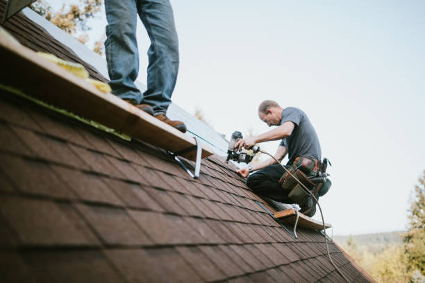 Best Shingle Roofing Installation  in Waterloo, WI